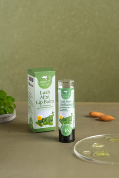 LushMint Lip Balm